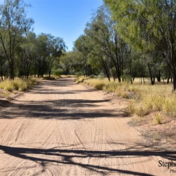 Section of Binns Track south of N'Dhala Gorge