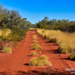 The two wheel track on the Dery Downs Station detour