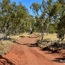 Narrow track conditions before Hatches Creek mine ruins