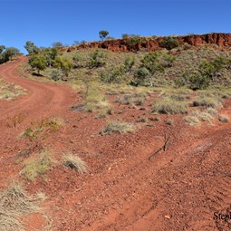 I wonder where that track goes?..only one way to find out