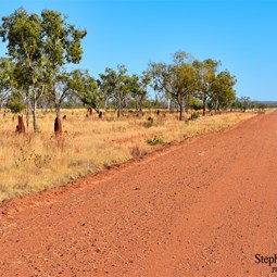 Back into small termite country and the good track consitions
