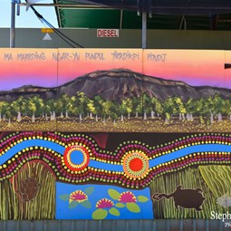 Beautiful painted art display at Timber Creek