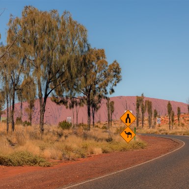On approach to the National Park Entrance Gate - Uluru in background