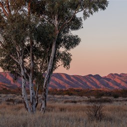Sunset Views from our camp