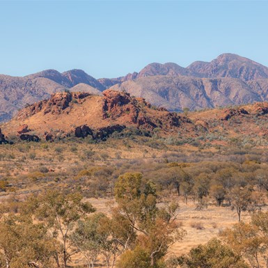 Views from the Lookout