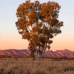 Sunset Views from our camp