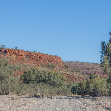 Entrance Drive to Palm Valley