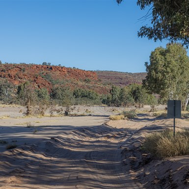 Entrance Drive to Palm Valley
