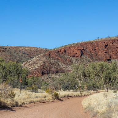 Entrance Drive to Palm Valley