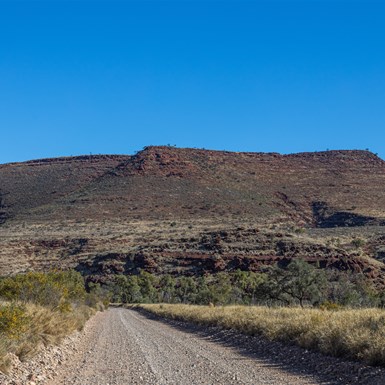 Entrance Drive to Palm Valley