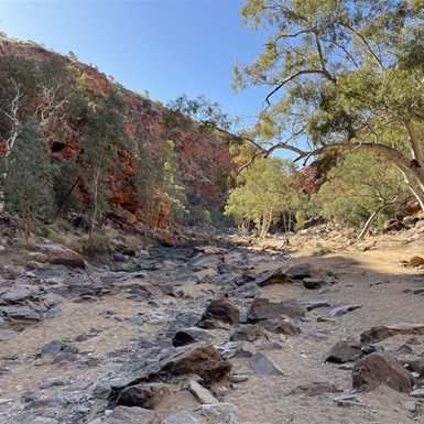 Walking the creekbed up into Redbank Gorge