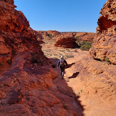 Loved this walk so much