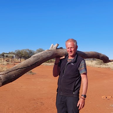 Collecting firewood along the way
