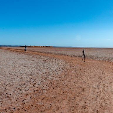 Well worn tracks help you find the way