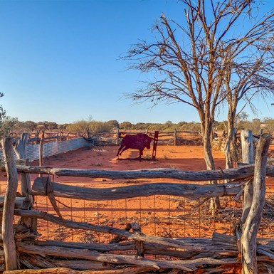 The Blessing & Curse that is Water