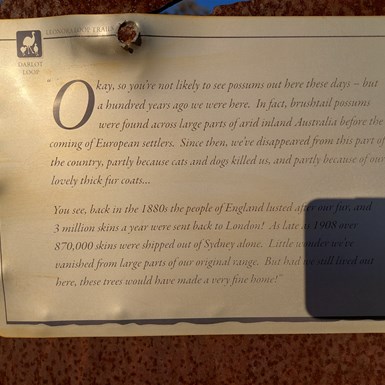 The sign telling you there are no possums here