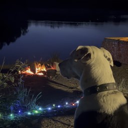 Terrance still keeping an eye on the ducks