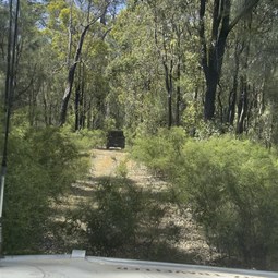 Following Brendan in the SF