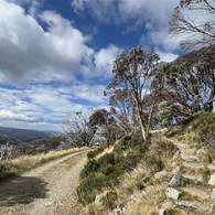 Bogong High Plains