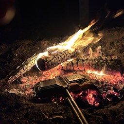 Who doesn't love camping