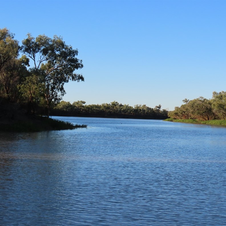 Thomson River