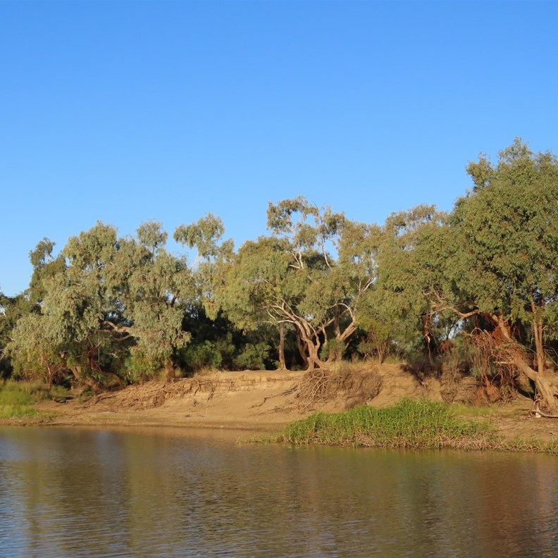 Thomson River 2