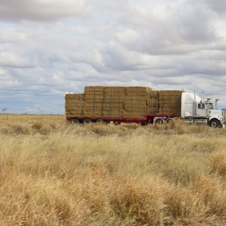 Hay Run