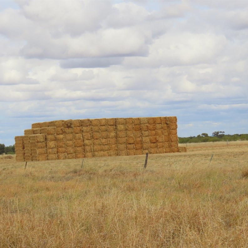 Hay Deliveries