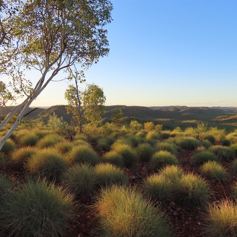 Telstra Hill 4