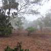 Day 11 Mataranka