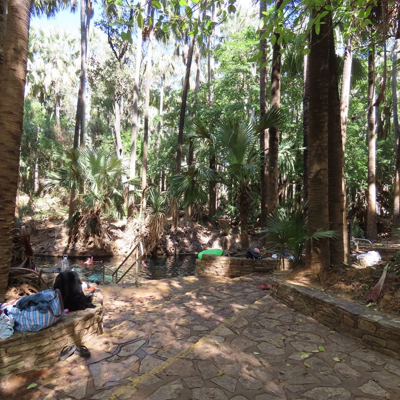 Mataranka Thermal Pools