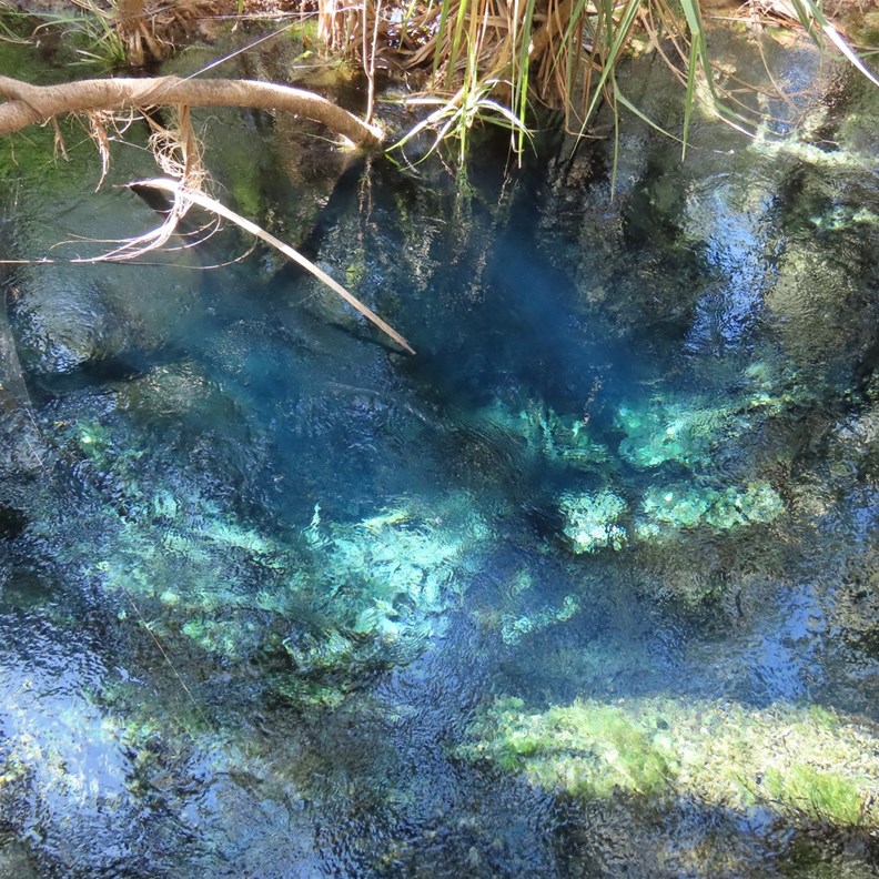 Again the water is crystal clear