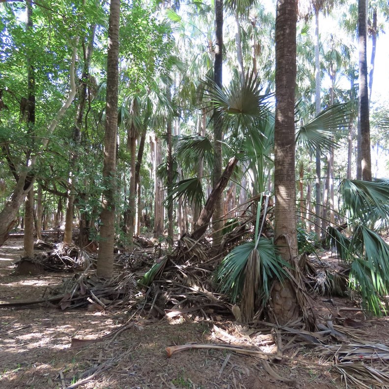 Elsey National Park 2