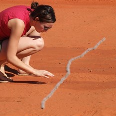 Catapillar migration across the road