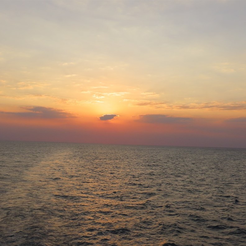 Sunrise