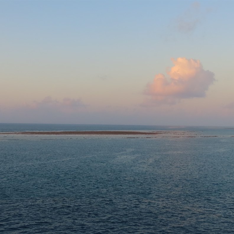 Reef on the lower tide