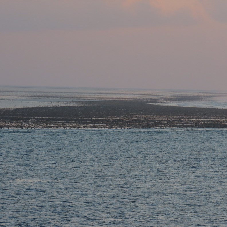 Lower tide reef exposure