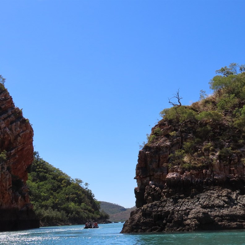 Cyclone Creek 2