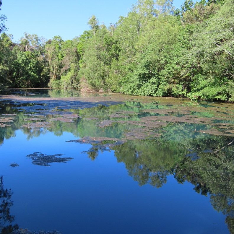Howard Springs