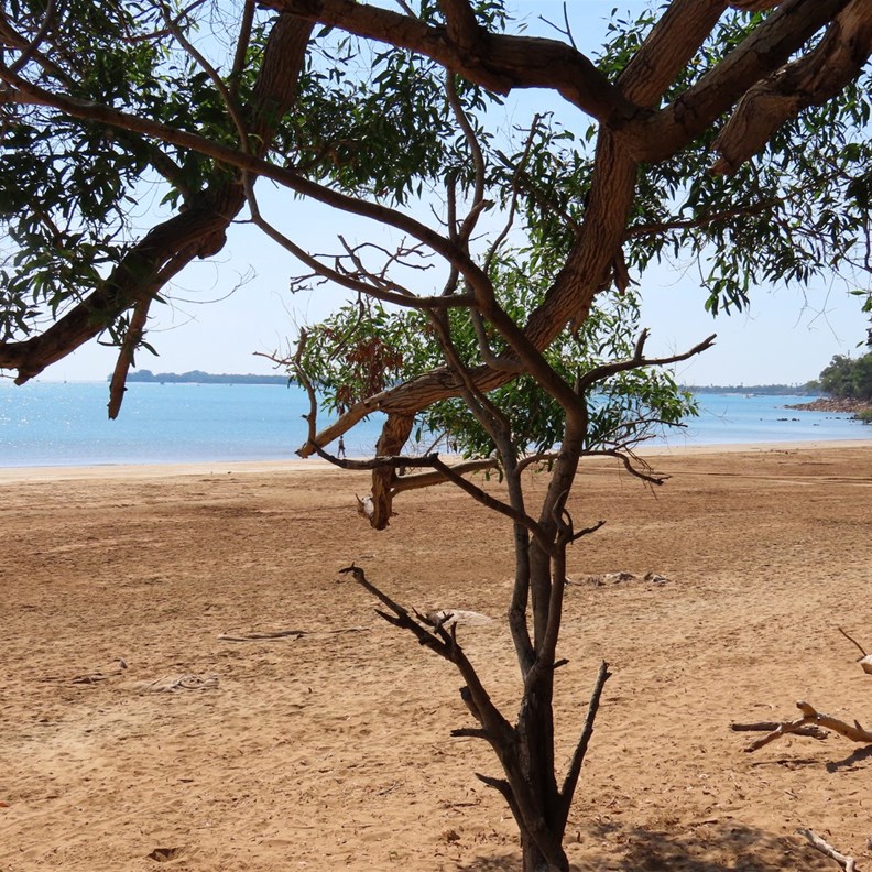 Mindil Beach 1