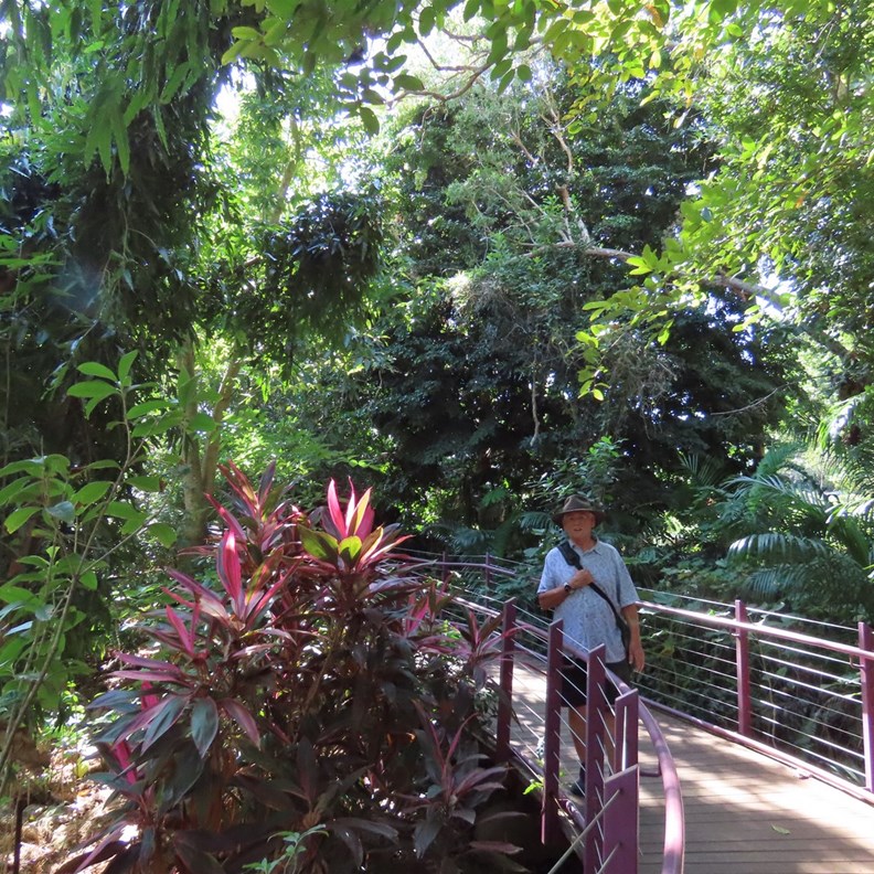 Botanic Gardens