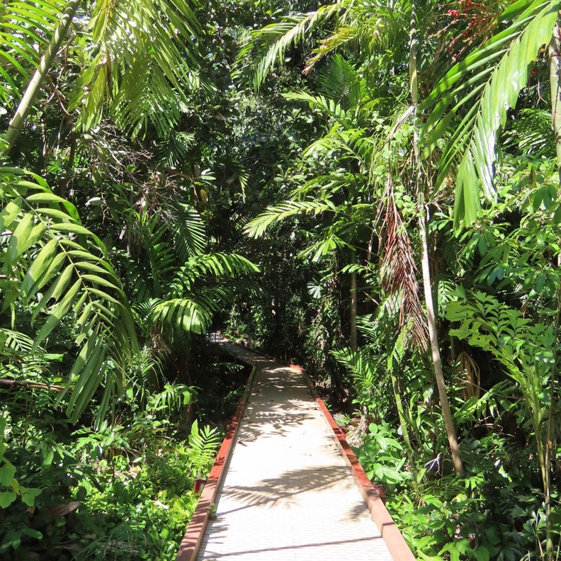 Botanic Gardens 1