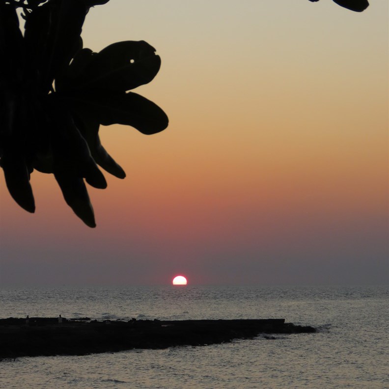 Sunset 2