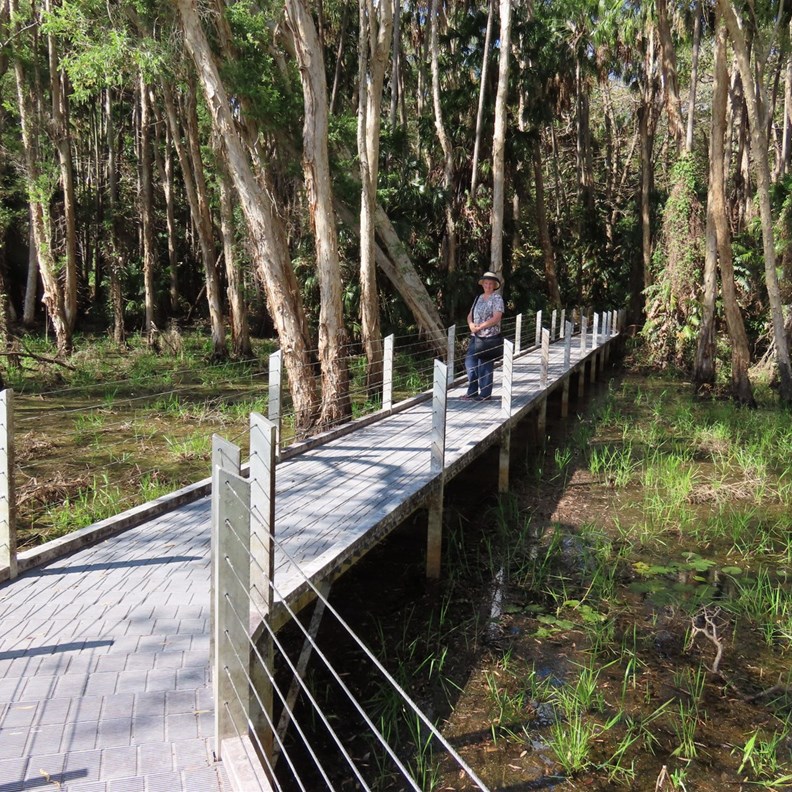 Monsoon Forest Walk 5