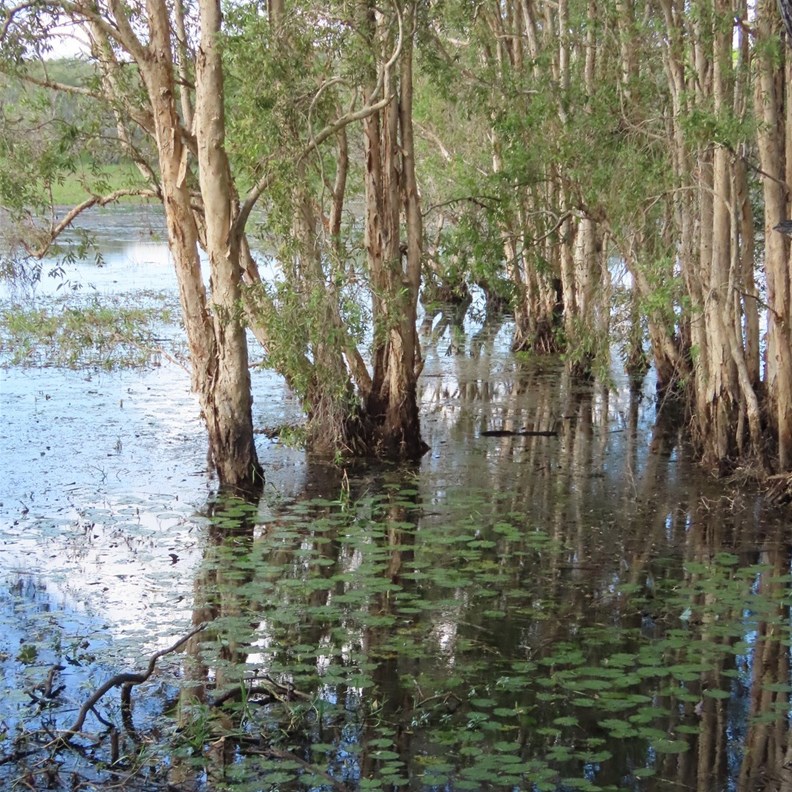 Reflections