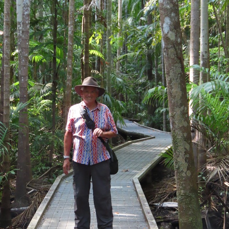 Monsoon Forest Walk 2