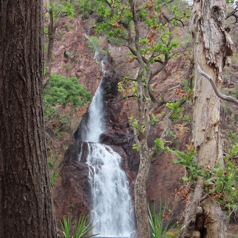 Wangi Falls 2