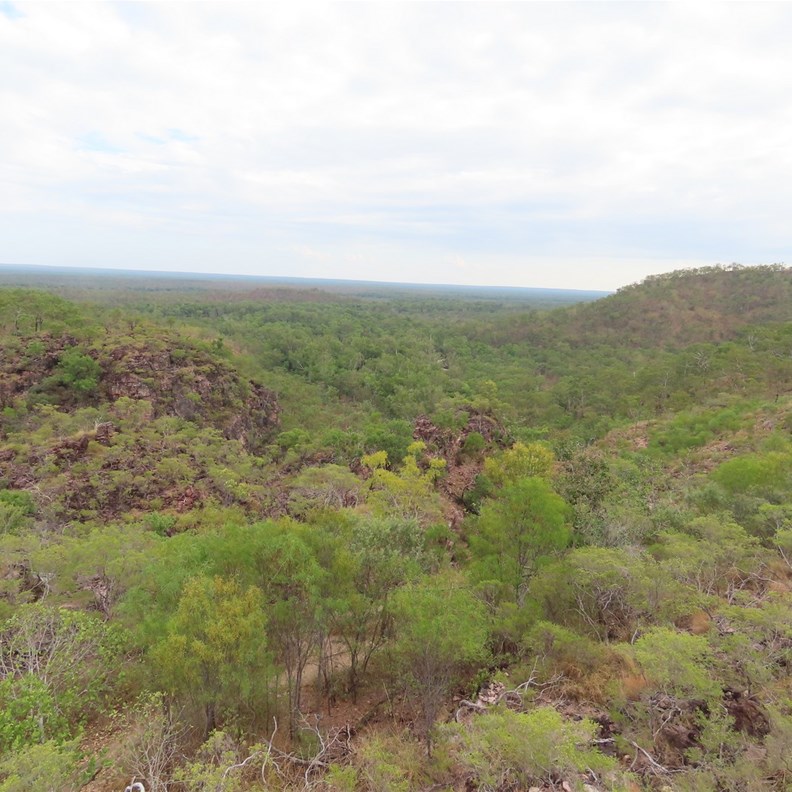 Tolmer Falls