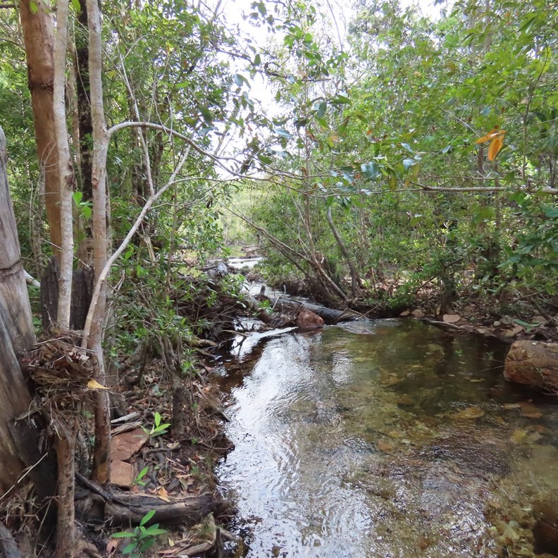 Walker Creek
