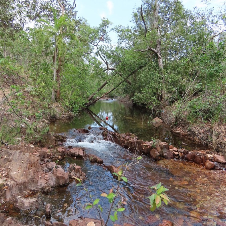 Walker Creek 3